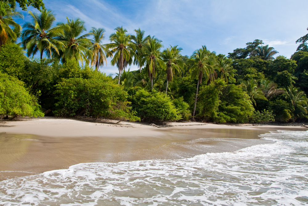 Beautiful Rainforest Beachside Locations In Queensland - Fitzroy Island