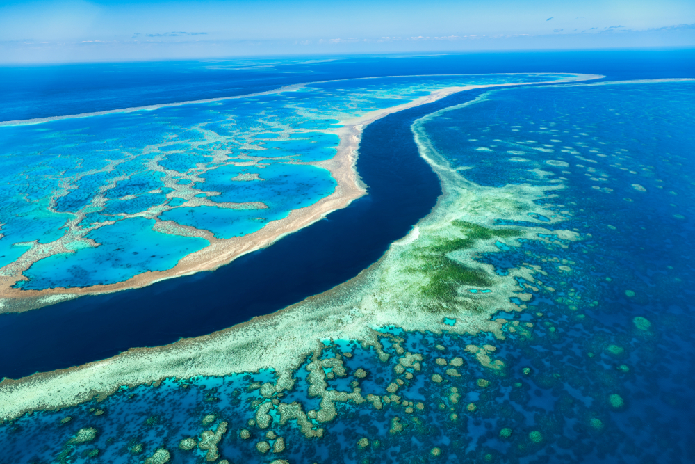 What You Need to Know Before Visiting Australia's Great Barrier Reef ...